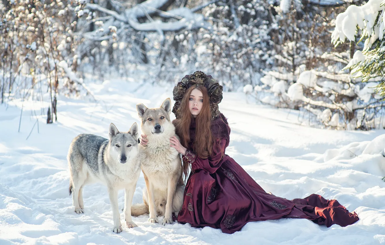 Photo wallpaper winter, forest, girl, snow, nature, animal, wolf, predator