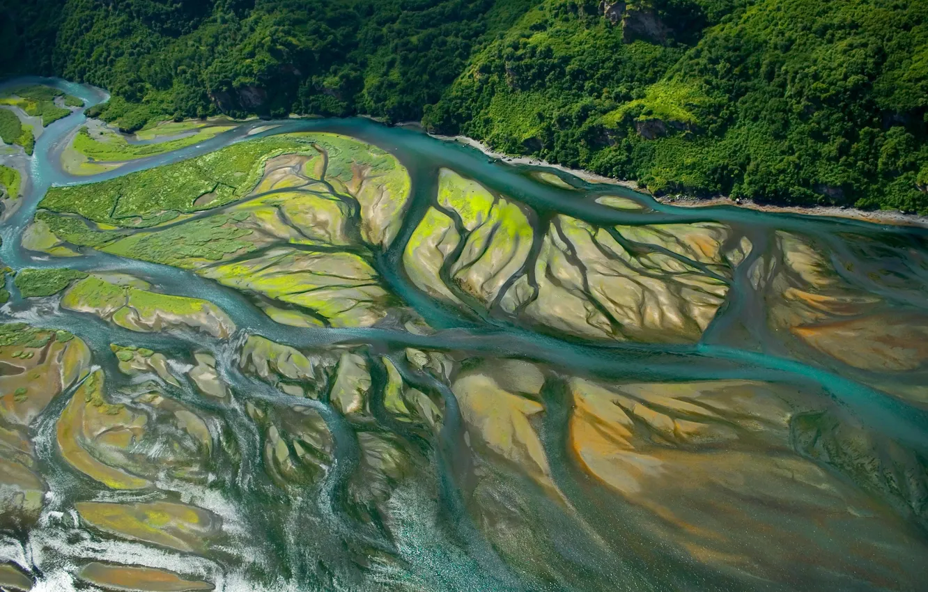 Photo wallpaper forest, trees, landscape, nature, river, plant, the view from the top, relief