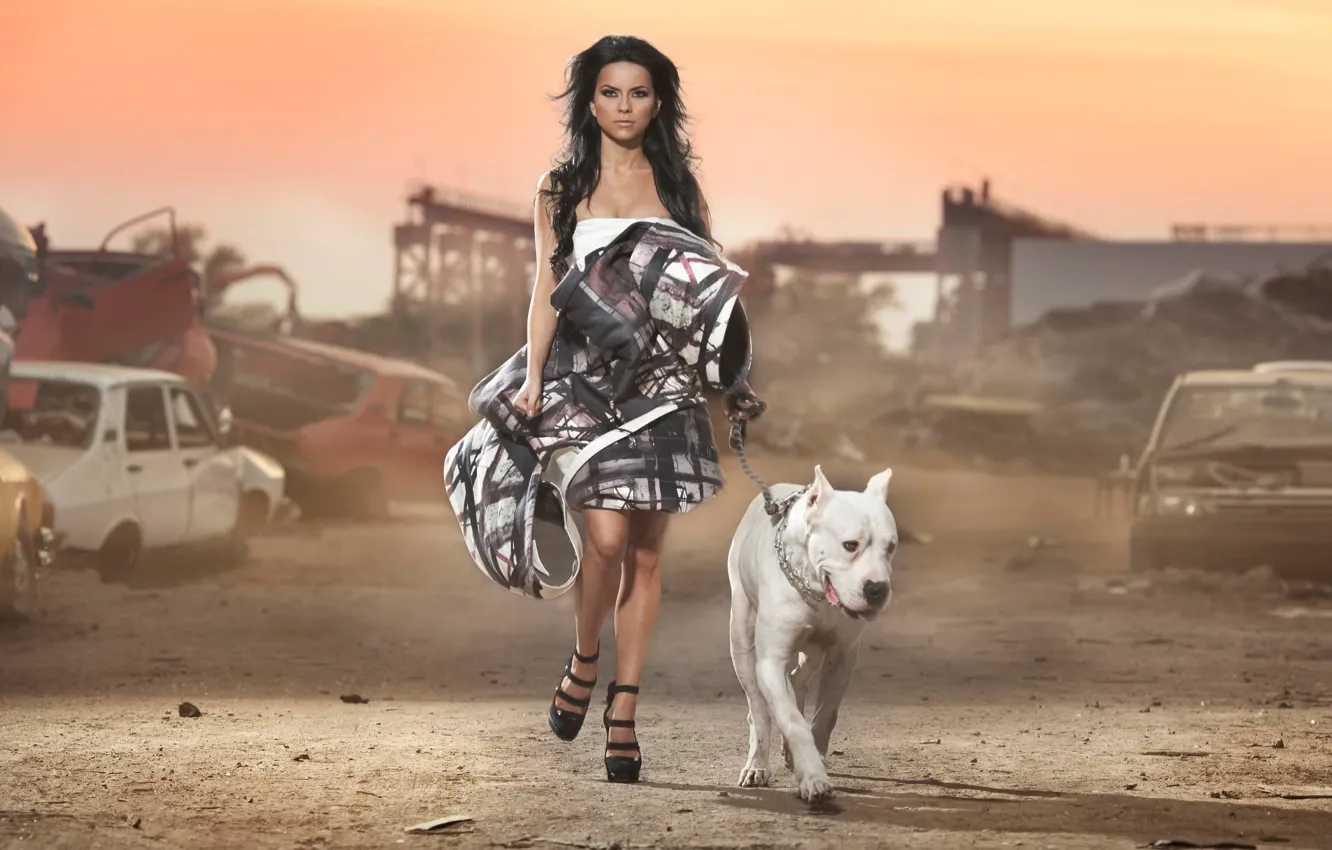 Photo wallpaper girl, dog, the ruins