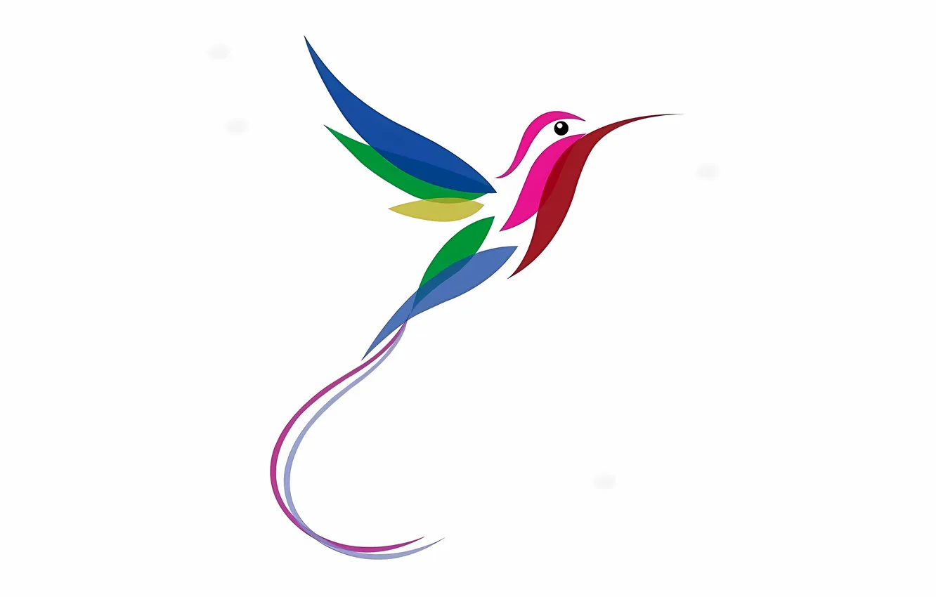 Photo wallpaper colorful, bird, multicolor, hummingbird, stylized hummingbird, long tail