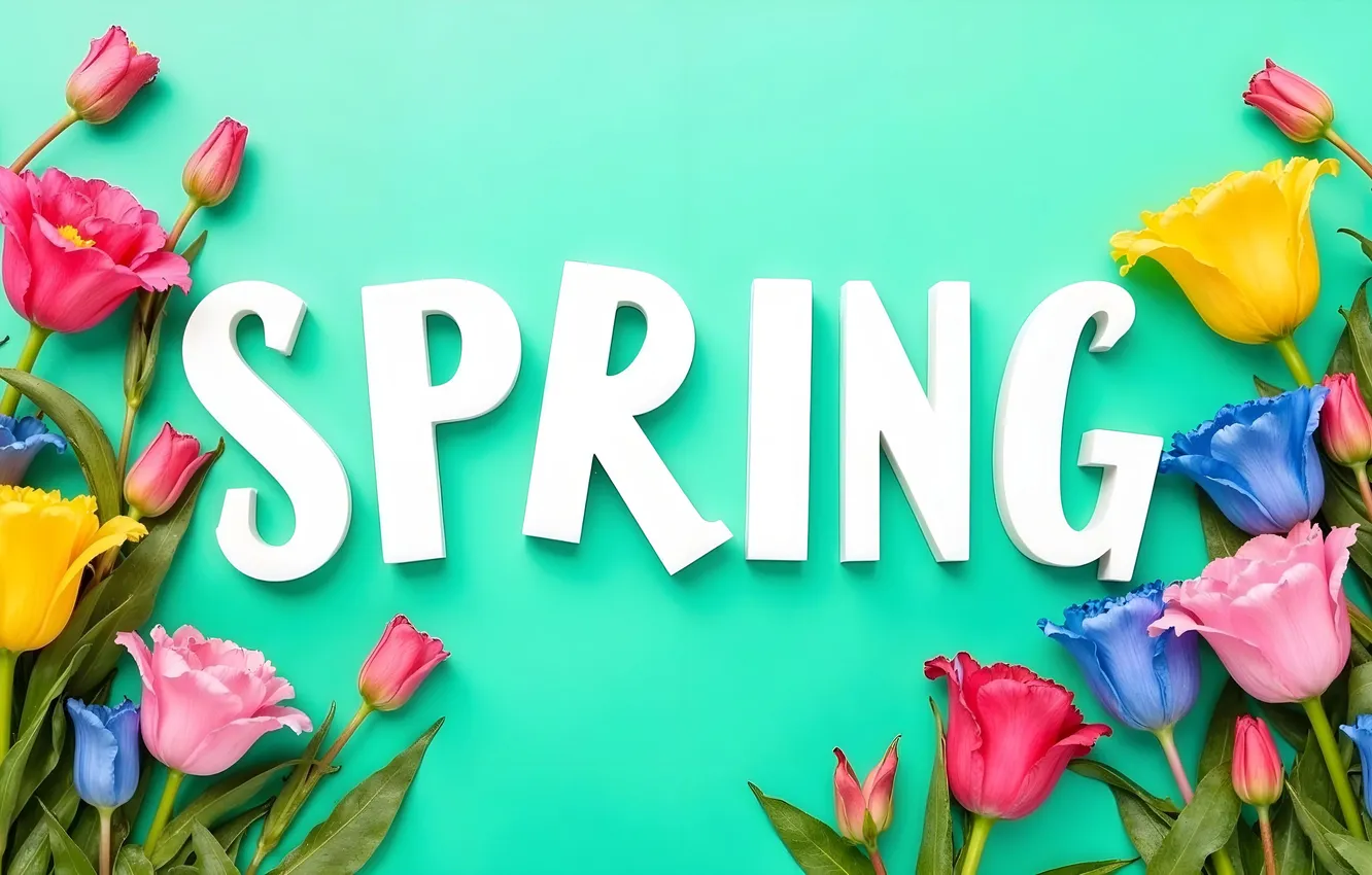 Photo wallpaper flowers, spring, colorful, tulips, blossom, flowers, tulips, spring