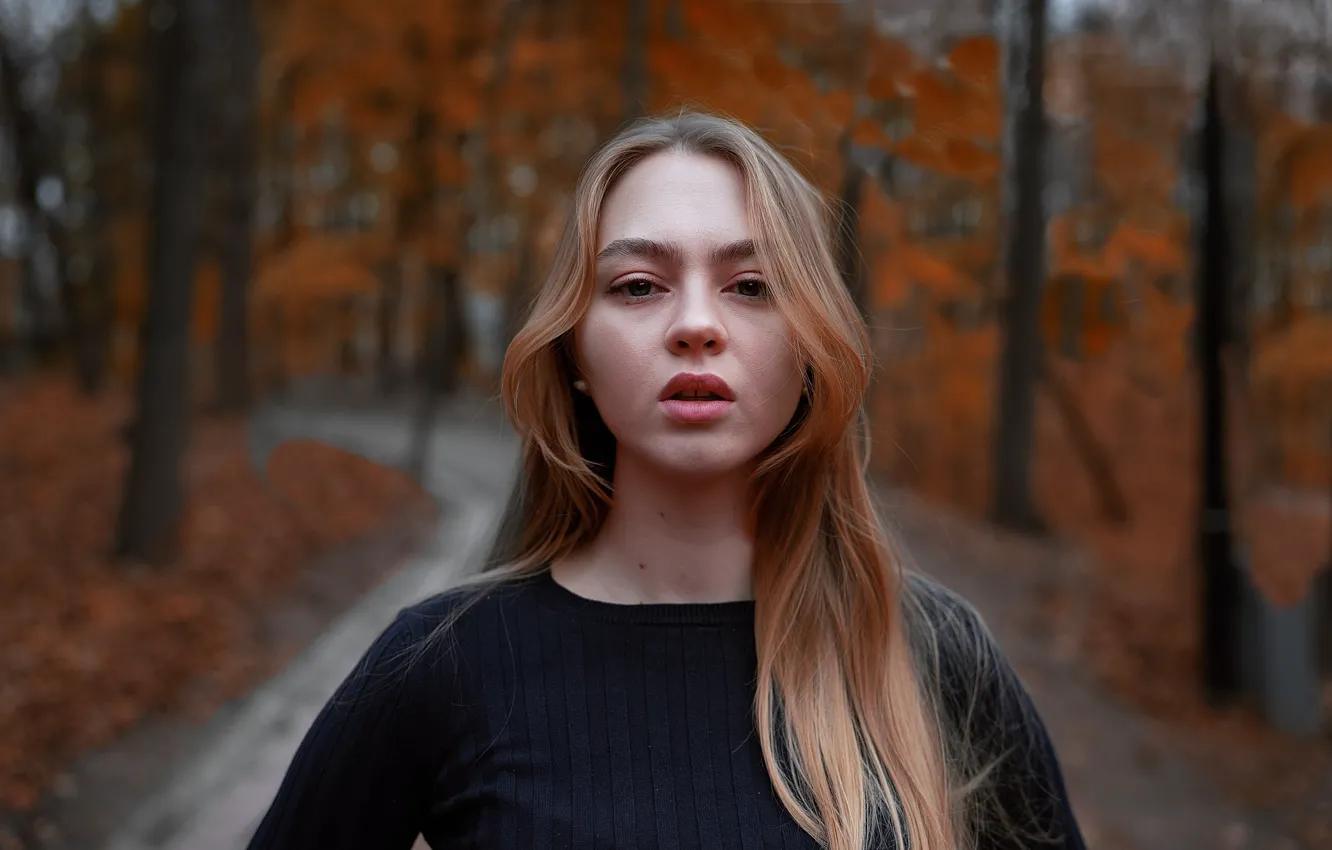 Photo wallpaper autumn, sponge, Alex Four