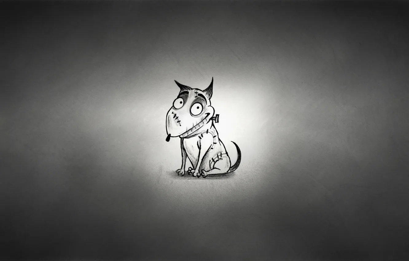 Photo wallpaper dog, black background, spark, Frankenweenie, FRANKENWEENIE