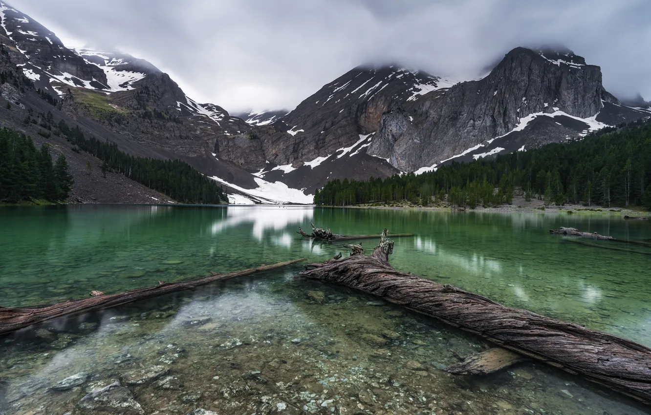 Photo wallpaper forest, snow, mountains, lake, stones, shore, the bottom, log