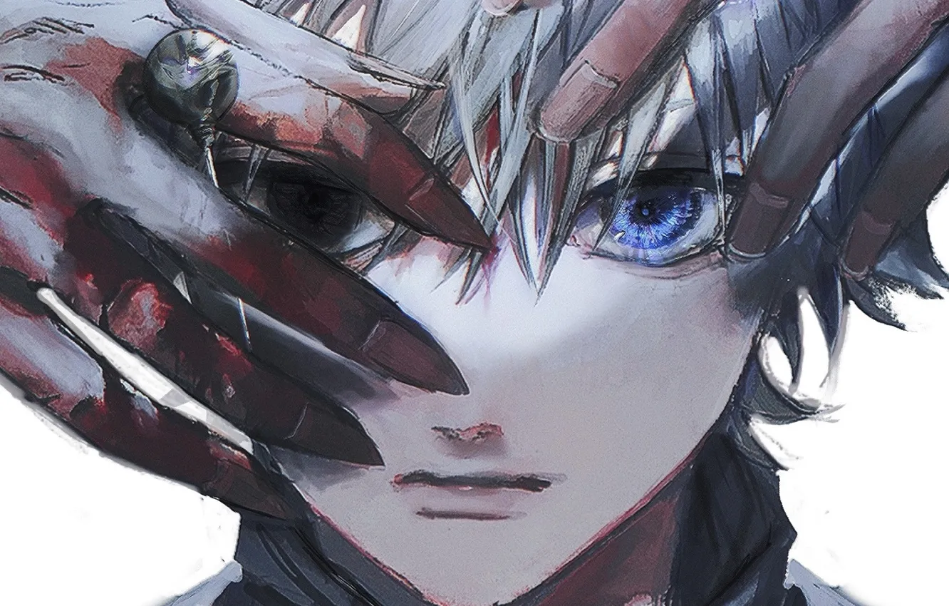 Photo wallpaper gray hair, HUNTERxHUNTER, pale skin, blood on his hands