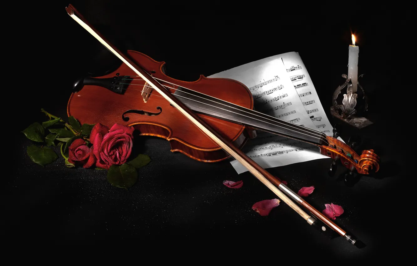 Photo wallpaper flowers, style, notes, music, violin, roses, black background, still life