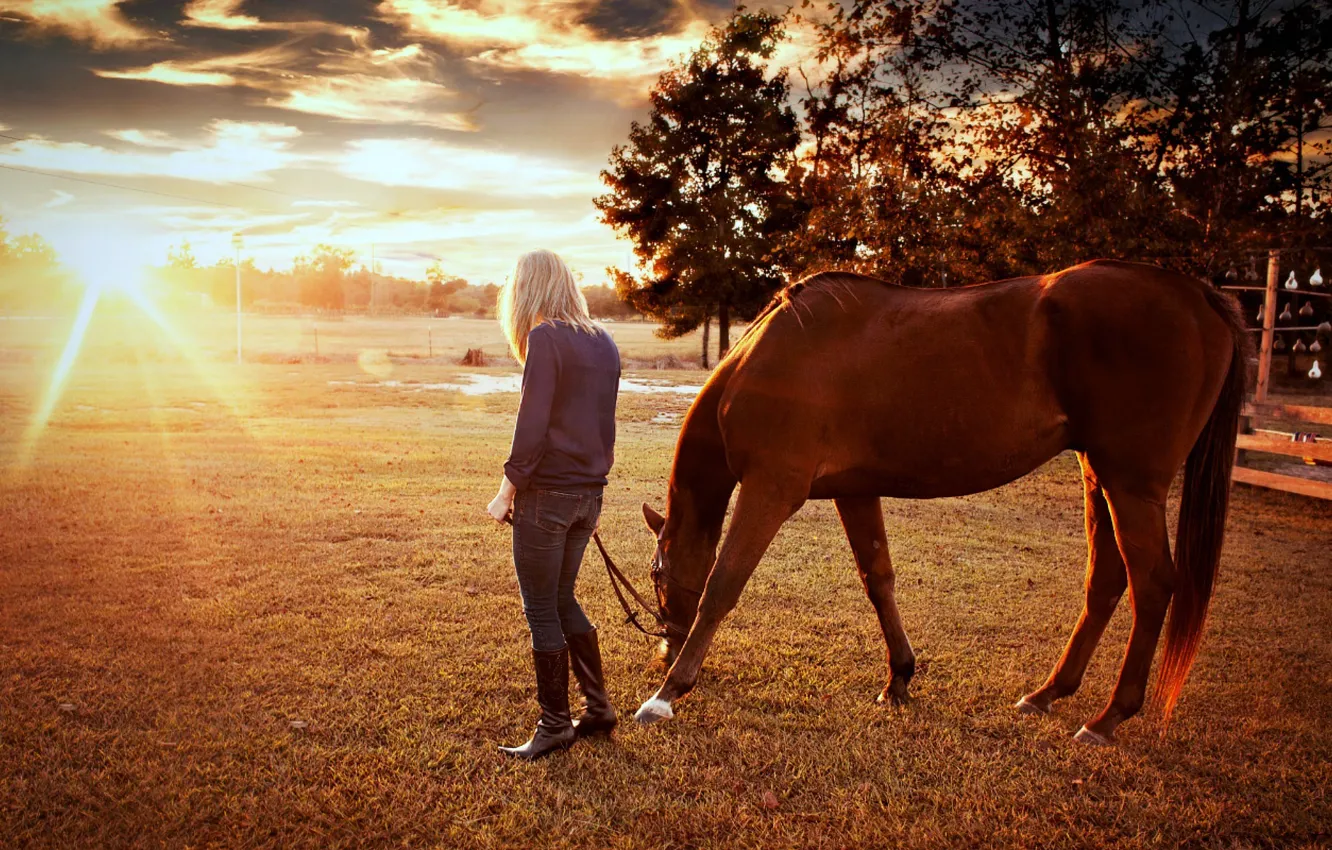Photo wallpaper trees, nature, sunrise, horses