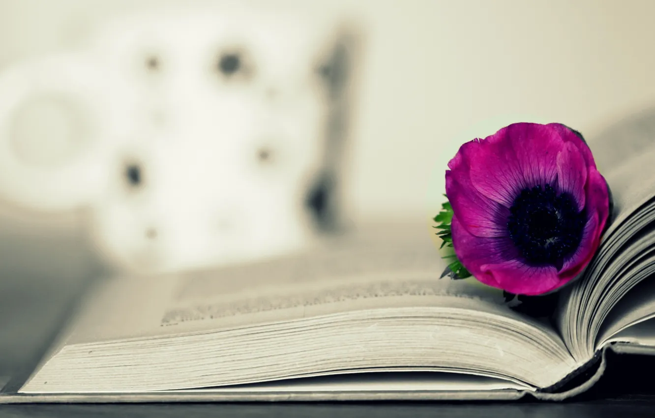 Photo wallpaper flowers, background, Wallpaper, book, wallpaper, pink, flower, different