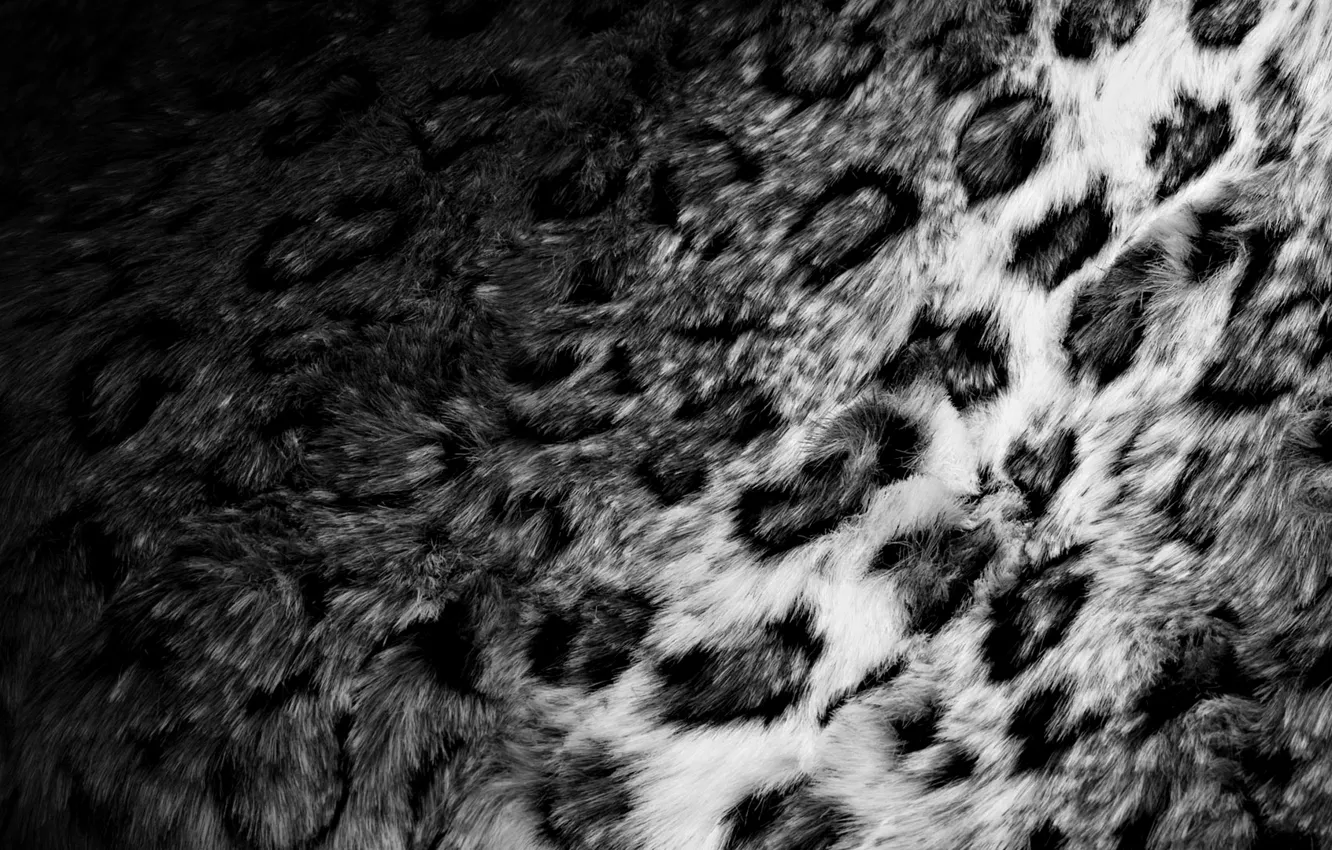 Photo wallpaper skin, black and white, fur, leopard