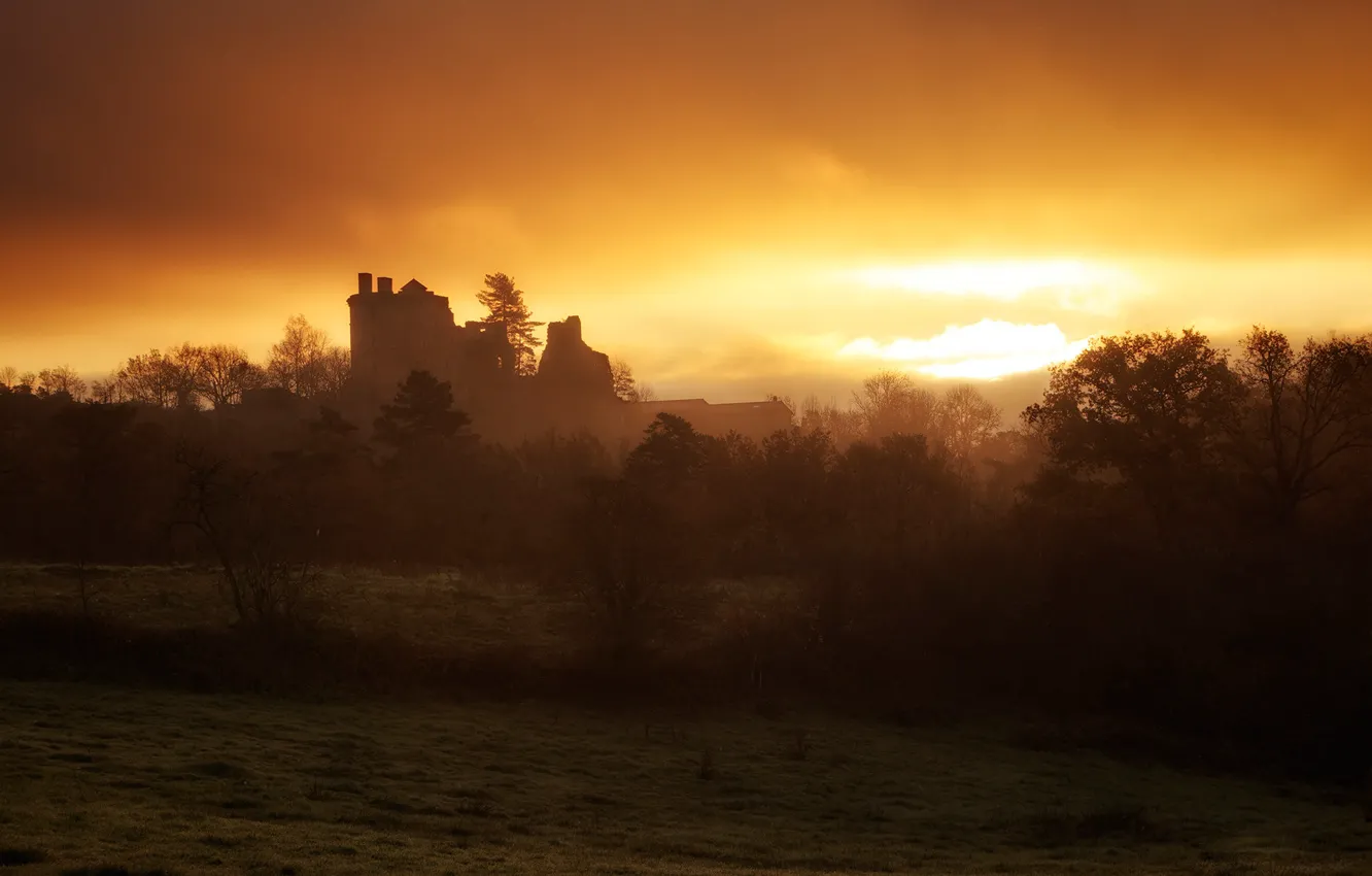 Photo wallpaper field, autumn, the sky, clouds, light, trees, sunset, fog