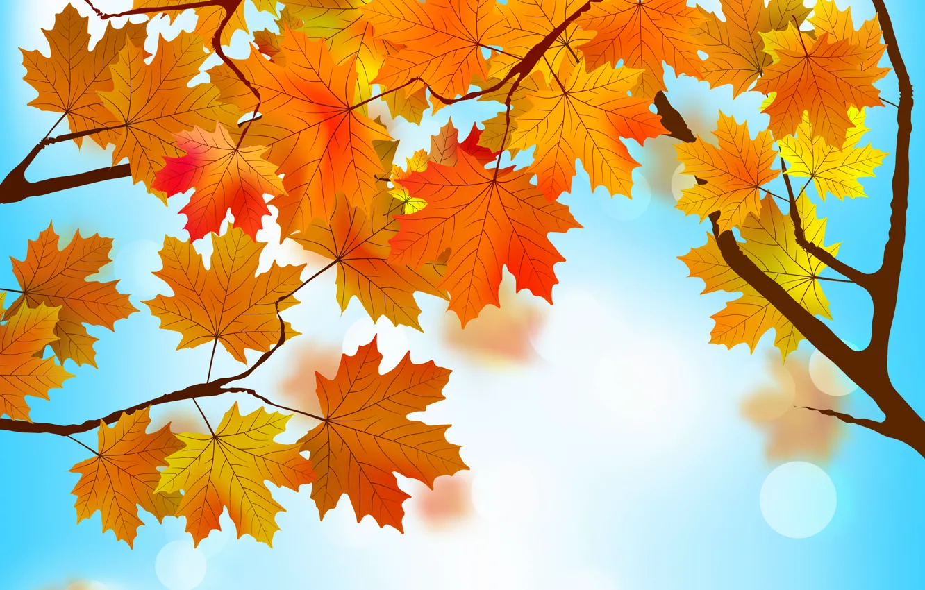 Photo wallpaper leaves, background, autumn, leaves, autumn, maple
