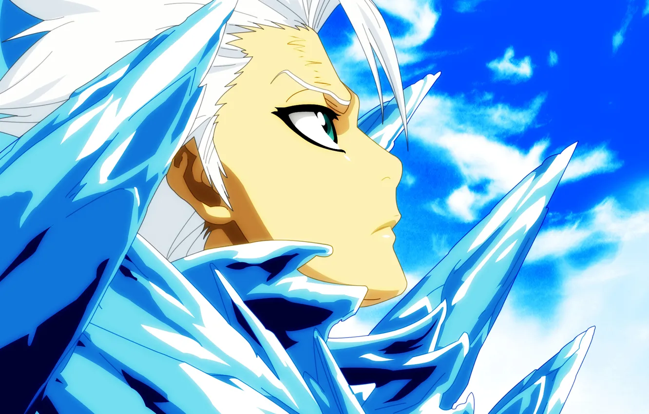 Photo wallpaper ice, anime, art, captain, guy, Bleach, Bleach, Hitsugaya Toshiro