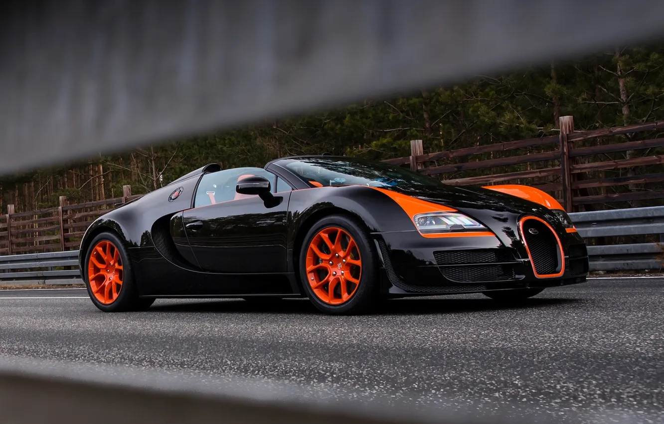Photo wallpaper forest, background, the fence, Bugatti, Veyron, supercar, Bugatti, the front