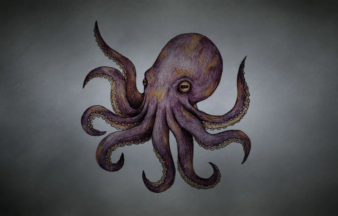 Photo wallpaper octopus, tentacles, octopus, dark background