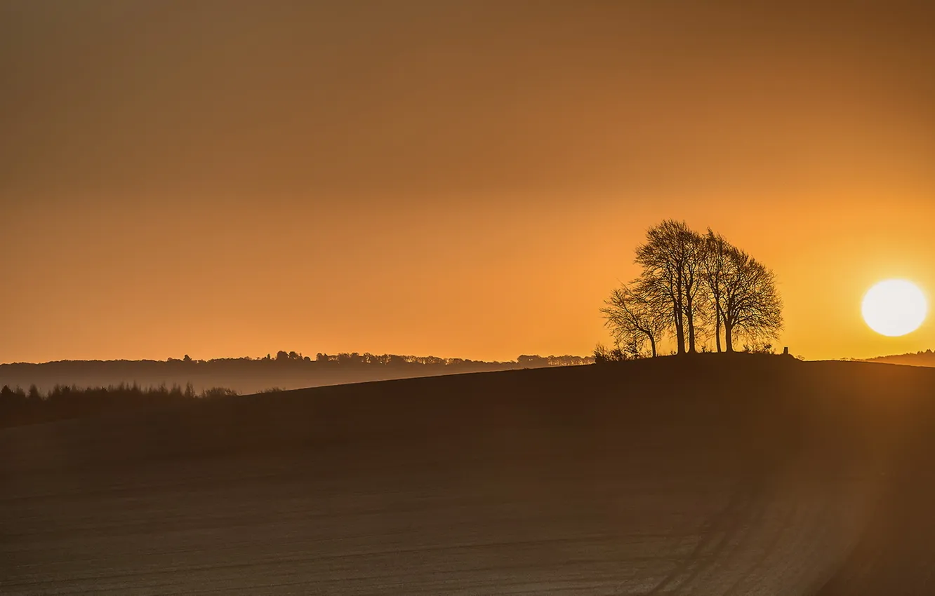 Photo wallpaper field, landscape, night