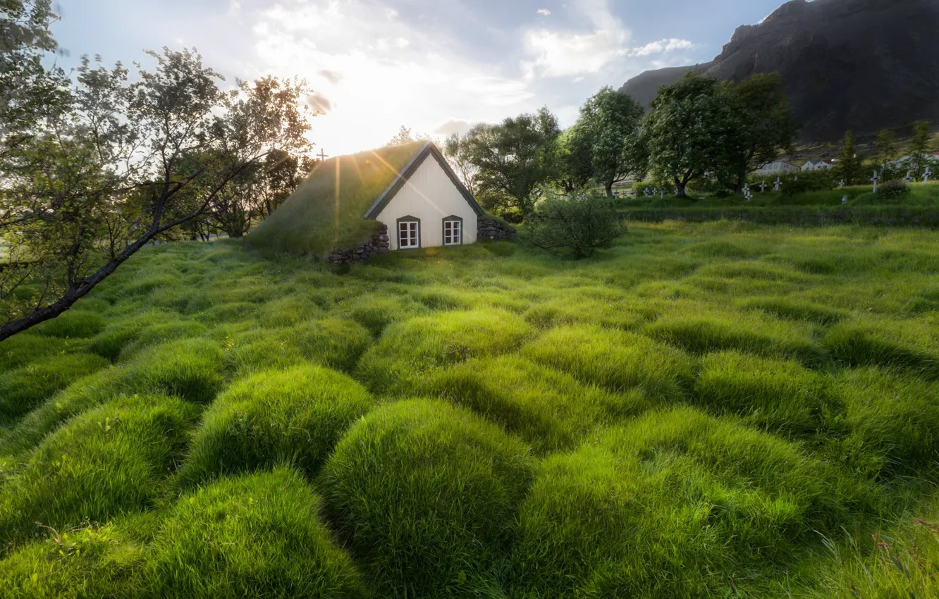 Photo wallpaper greens, summer, grass, the sun, clouds, light, trees, landscape