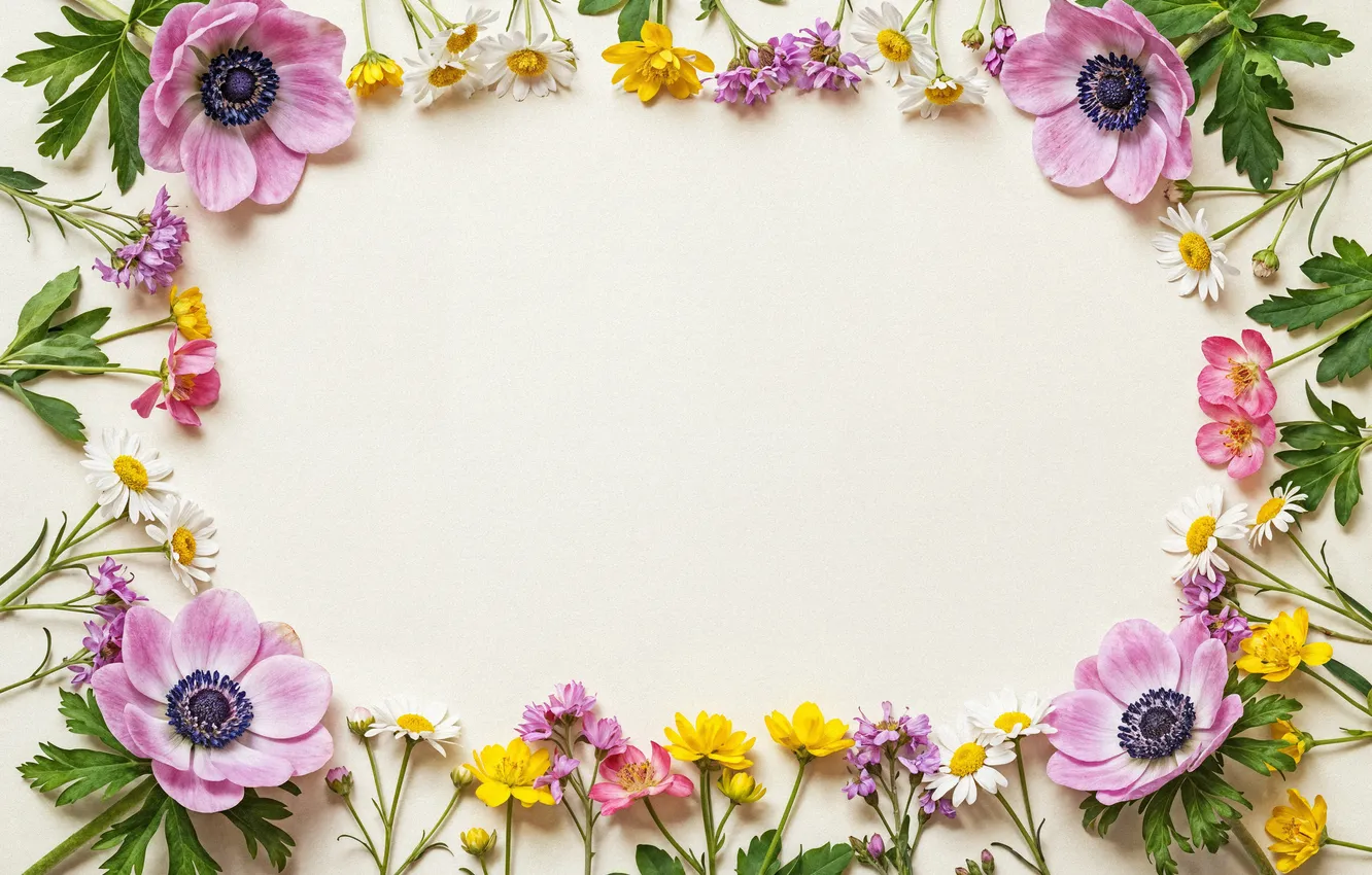 Photo wallpaper flowers, frame, colorful, pink, flowers, frame, floral