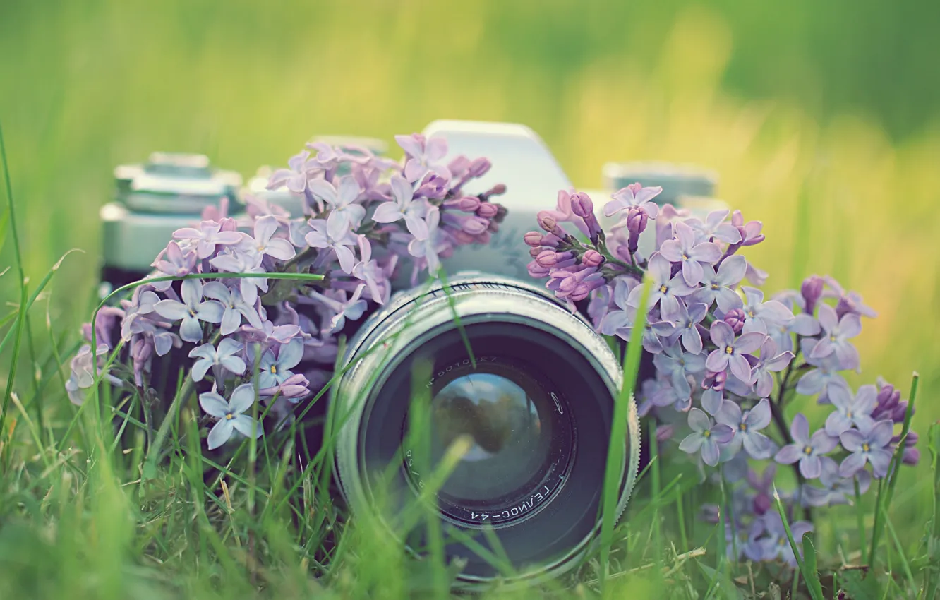 Photo wallpaper grass, flowers, photo, the camera, lilac, Zenit, the camera