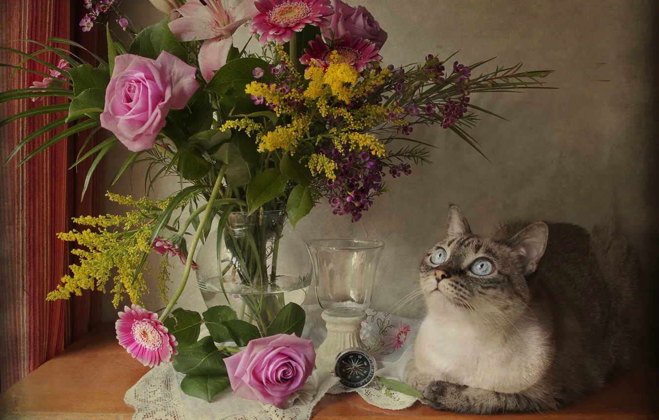 Photo wallpaper cat, look, flowers, roses, bouquet