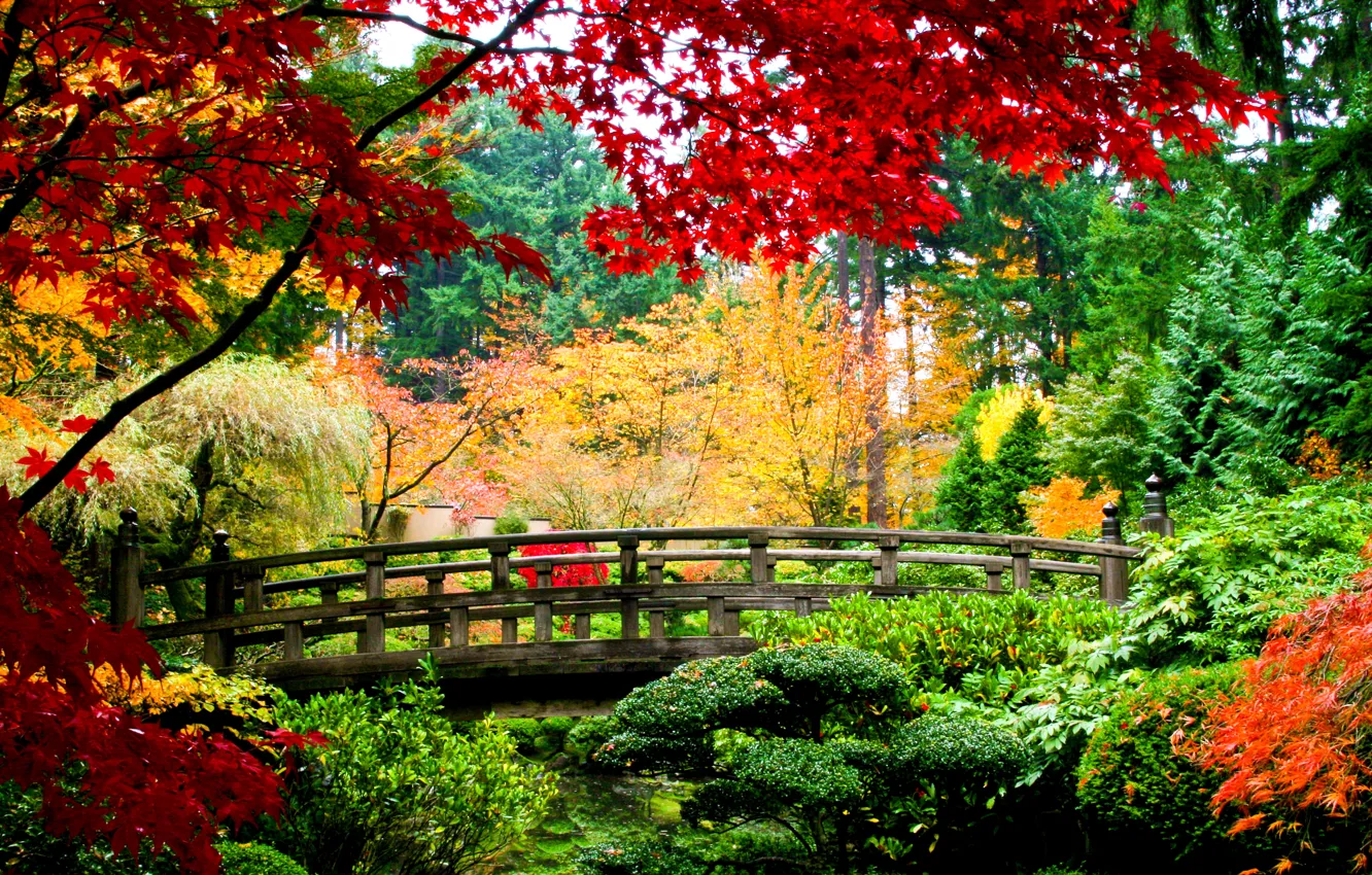 Photo wallpaper autumn, leaves, trees, bridge, nature, yellow, green, red