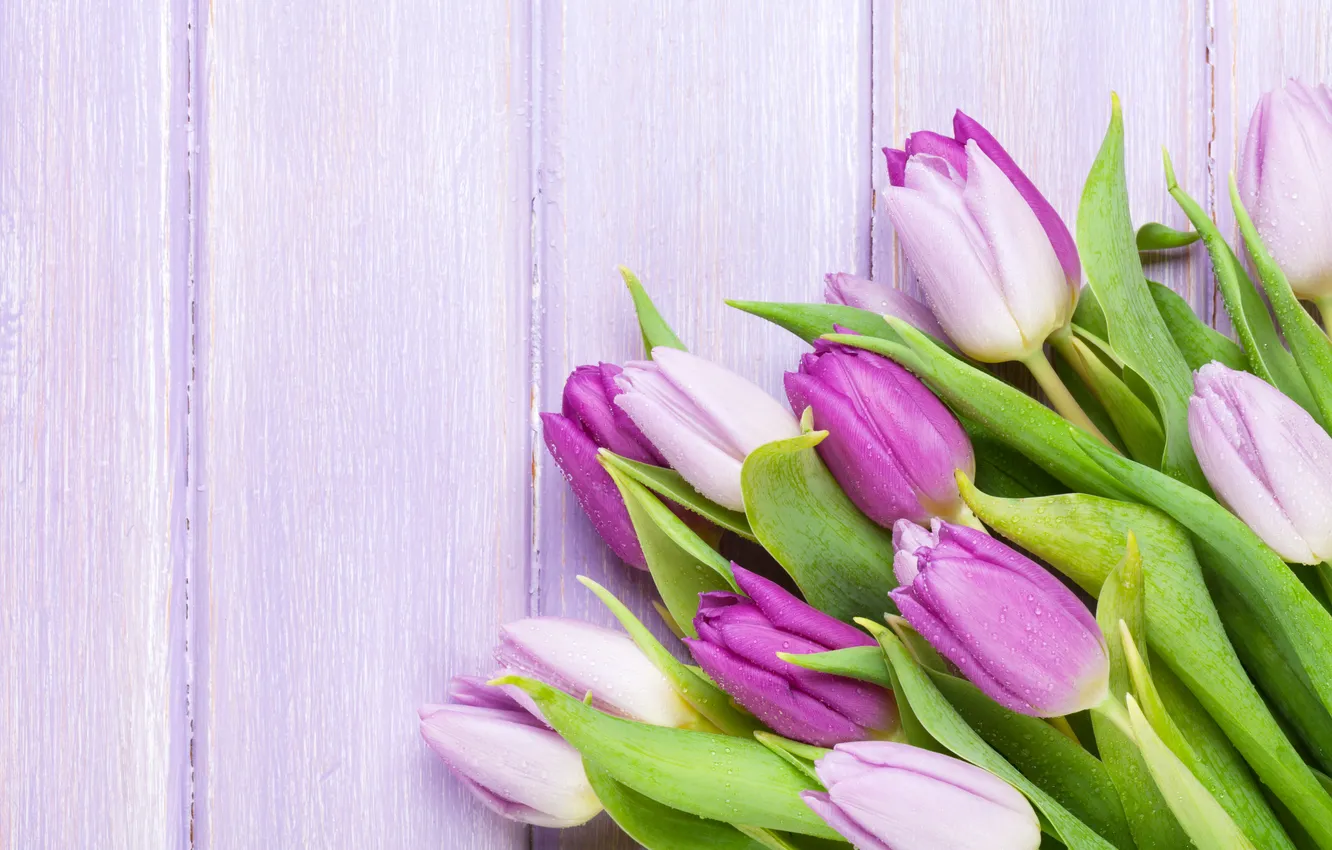 Photo wallpaper flowers, bouquet, tulips, wood, flowers, tulips, spring, purple