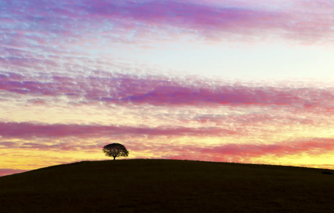 Photo wallpaper the sky, clouds, sunset, tree, the evening, hill, Australia