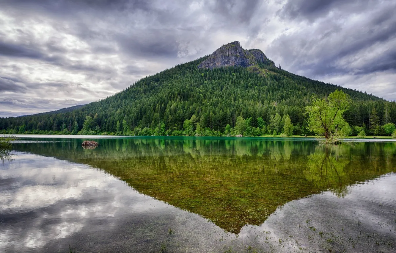 Photo wallpaper forest, water, trees, mountains, clouds, lake, reflection, Washington