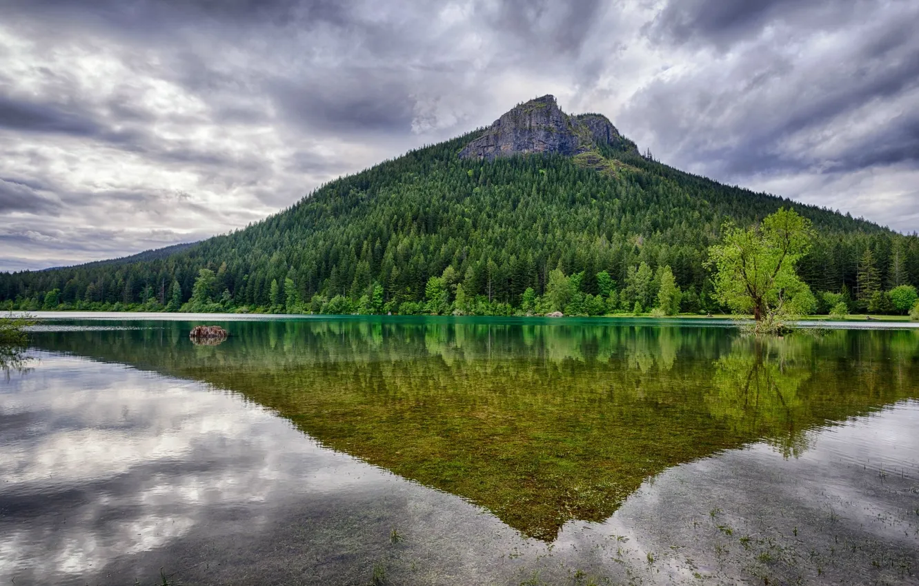 Photo wallpaper forest, water, trees, clouds, lake, reflection, mountain, Washington