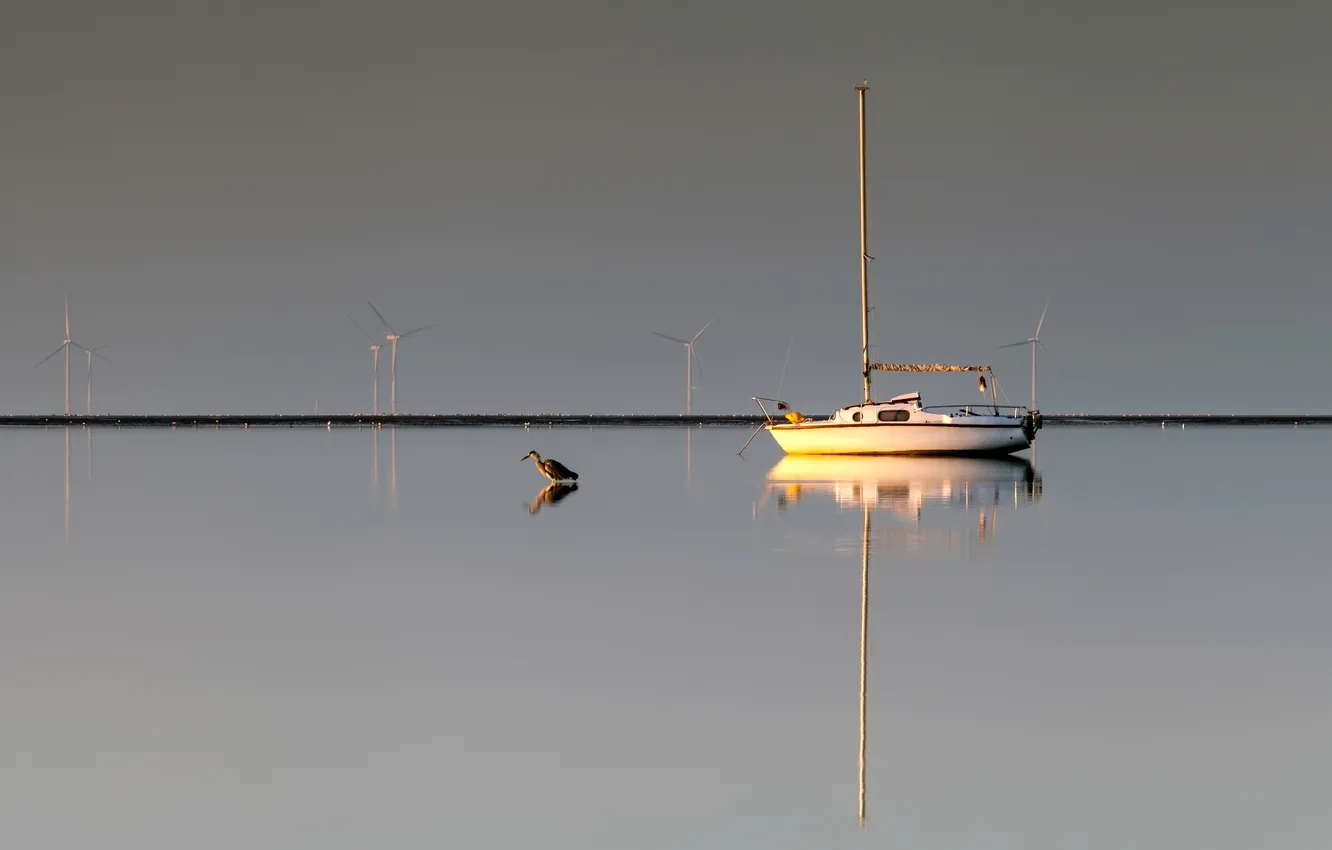 Photo wallpaper the sky, bird, boat, morning, yacht, tide, harbour, windmill