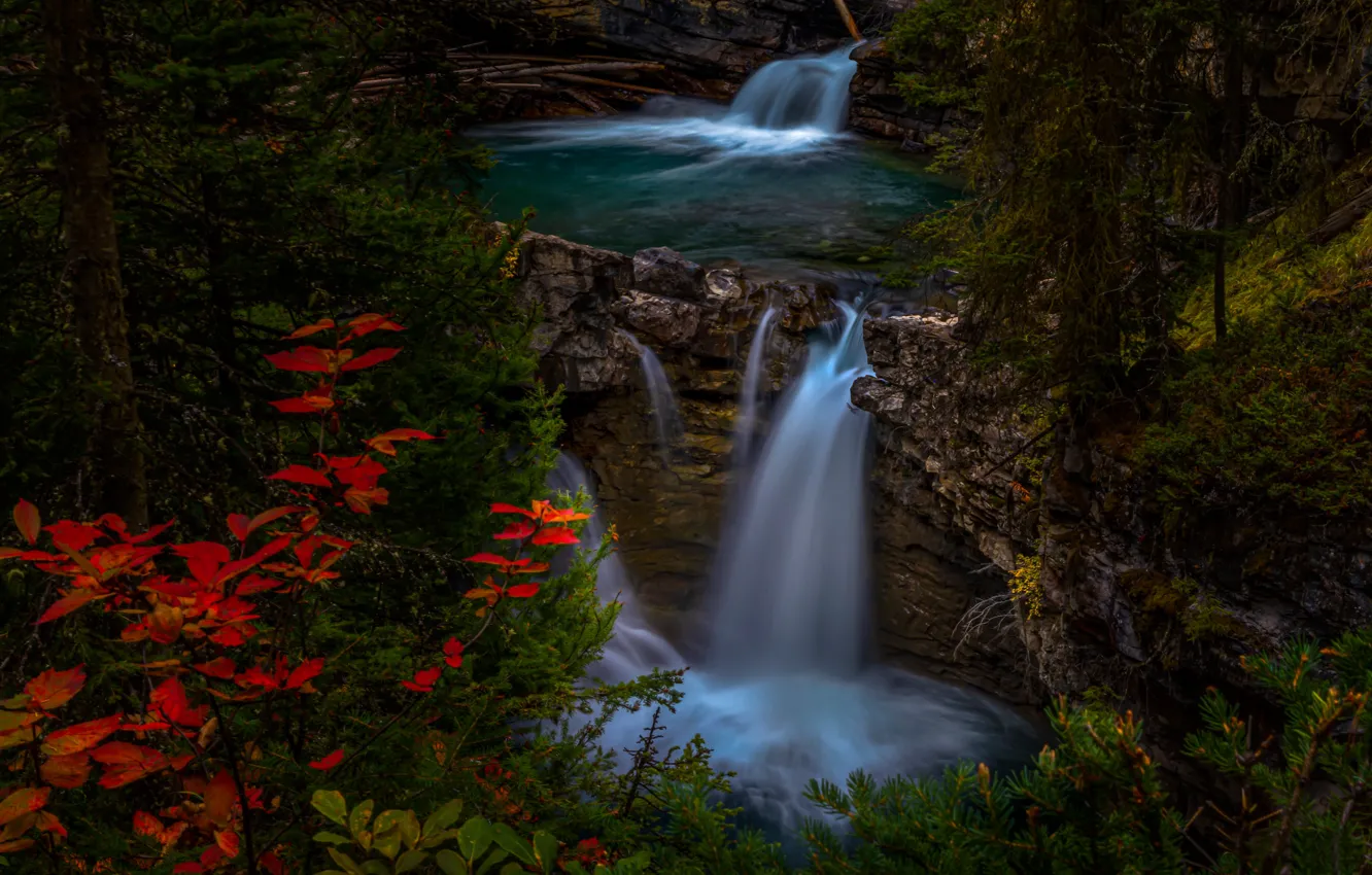 Photo wallpaper autumn, forest, rock, Canada, Albert, Banff National Park, waterfalls, Banff national Park