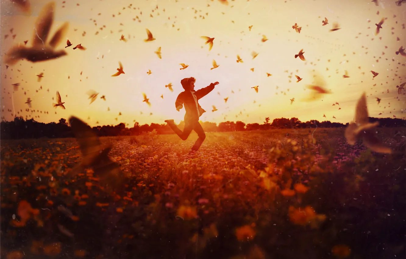 Photo wallpaper field, the sun, birds, running, guy