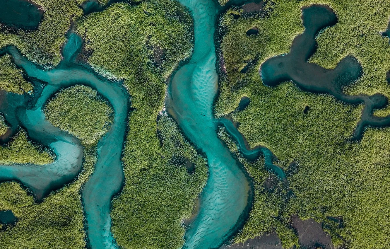 Photo wallpaper forest, trees, landscape, nature, river, plant, the view from the top, relief