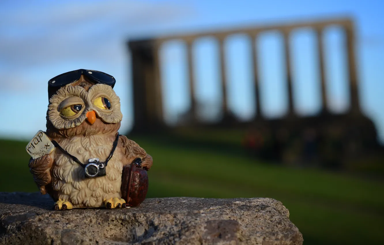 Photo wallpaper owl, stone, toy, camera, Scotland, silhouette, Edinburgh, Calton Hill
