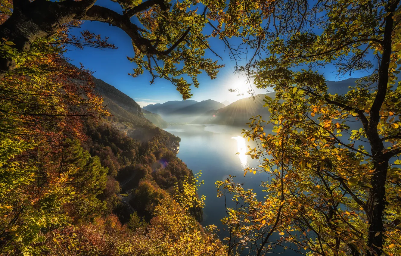 Photo wallpaper autumn, trees, mountains, branches, lake, Switzerland, Switzerland, Lake Thun