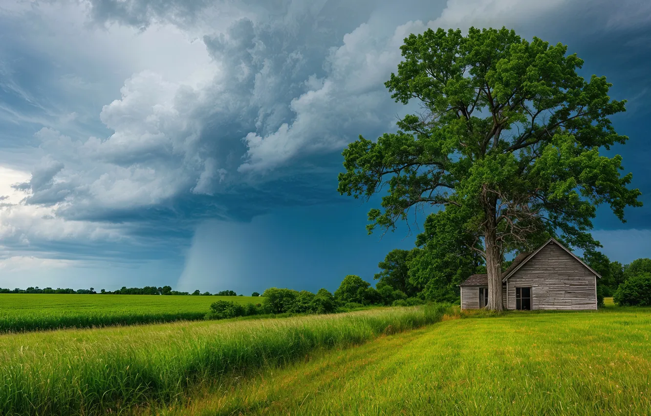 Photo wallpaper sky, wood, building, stormy