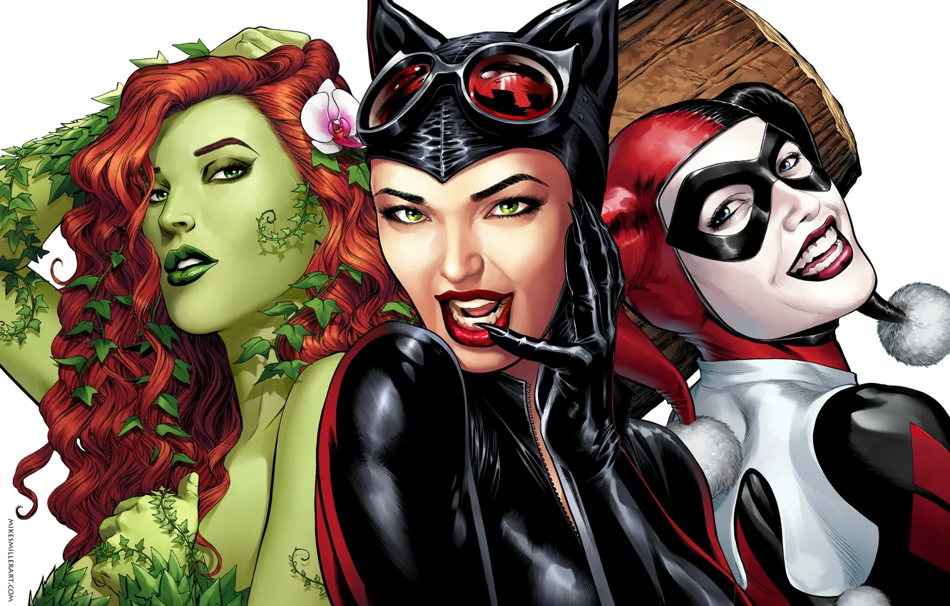 Photo wallpaper the game, art, poison ivy, DC Comics, Catwoman, Selina Kyle, cat woman, Harley Quinn