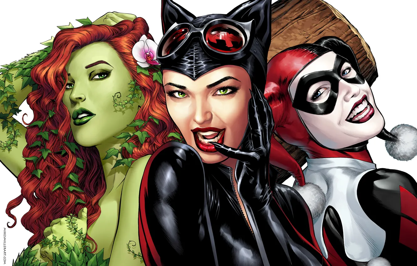 Photo wallpaper the game, art, Cat woman, DC Comics, Catwoman, Selina Kyle, Harley Quinn, Harley Quinn