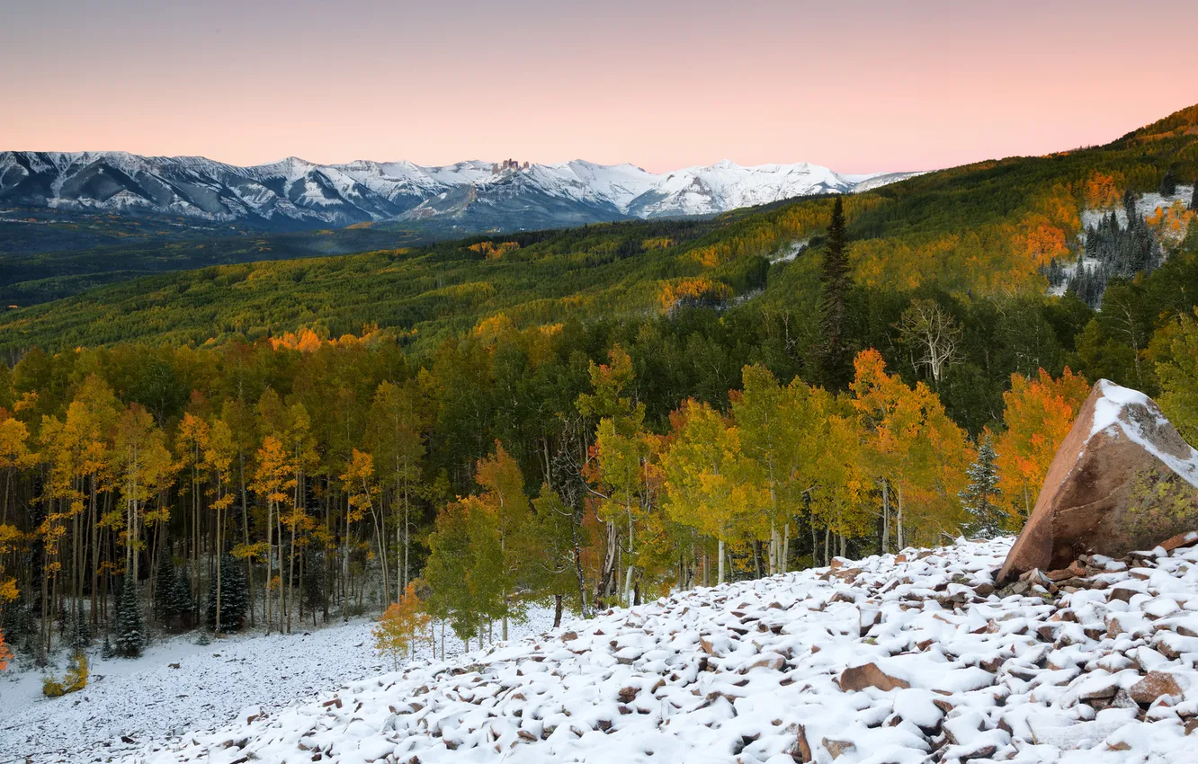 Photo wallpaper forest, snow, trees, mountains, nature, tops