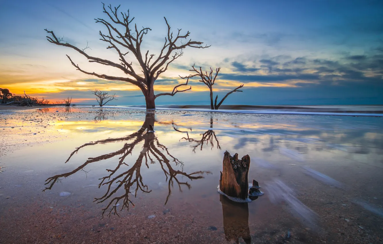 Photo wallpaper sea, the sky, clouds, trees, sunset, shore