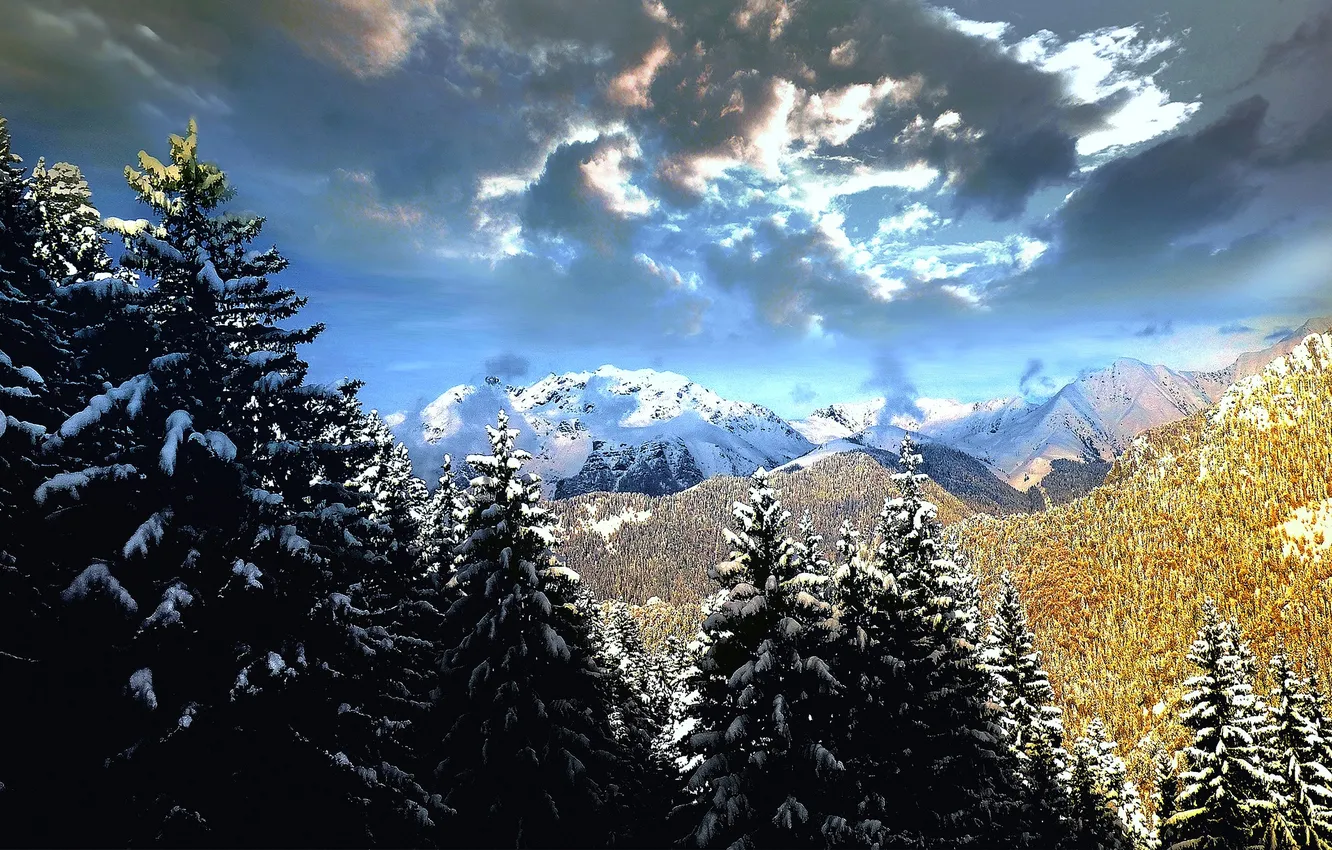 Photo wallpaper winter, forest, snow, trees, landscape, mountains, Italy, Lombardy