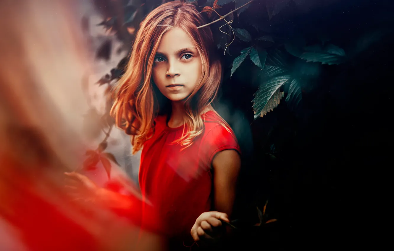 Photo wallpaper look, girl, bokeh, Serg Piltnik, cheerless song