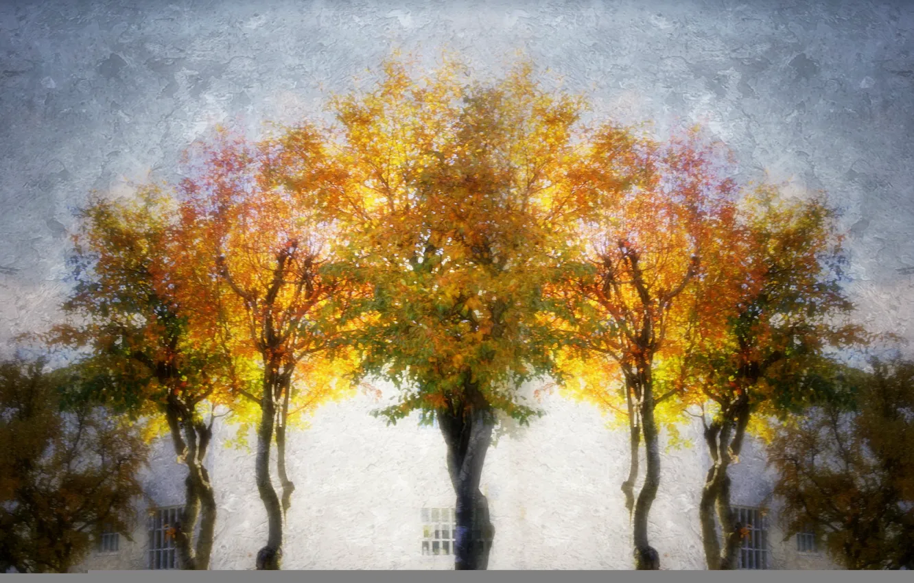 Photo wallpaper trees, style, background