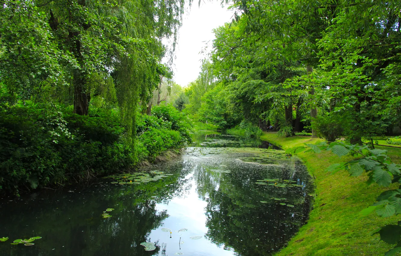 Photo wallpaper water, park, lake, pond