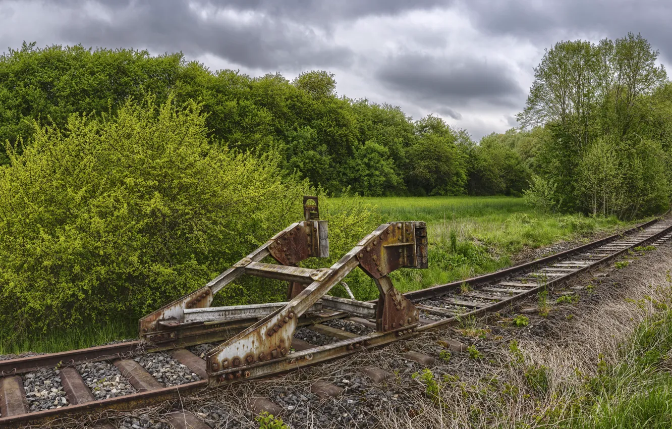 Photo wallpaper forest, summer, railroad