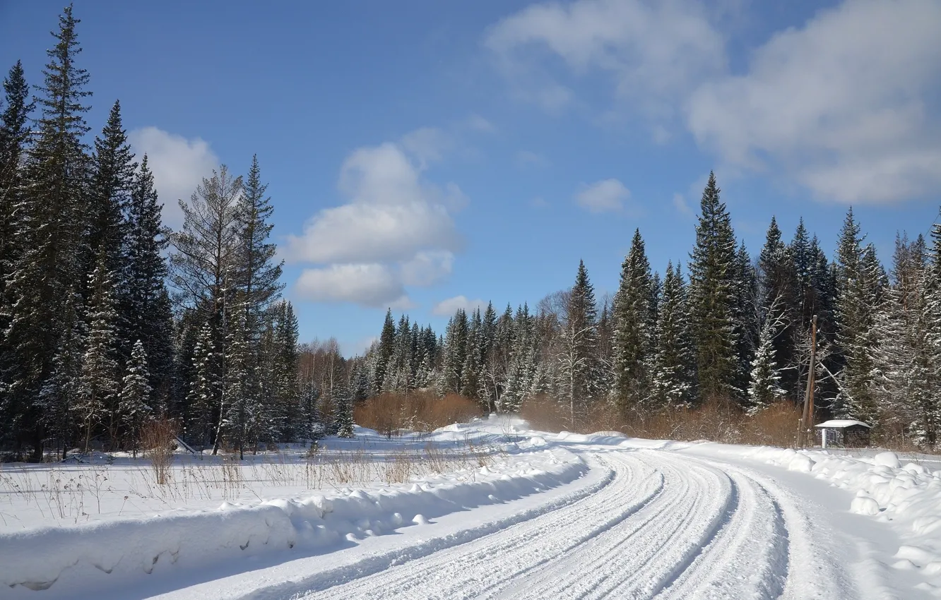 Photo wallpaper winter, road, forest, snow, nature, photo, spruce, turn