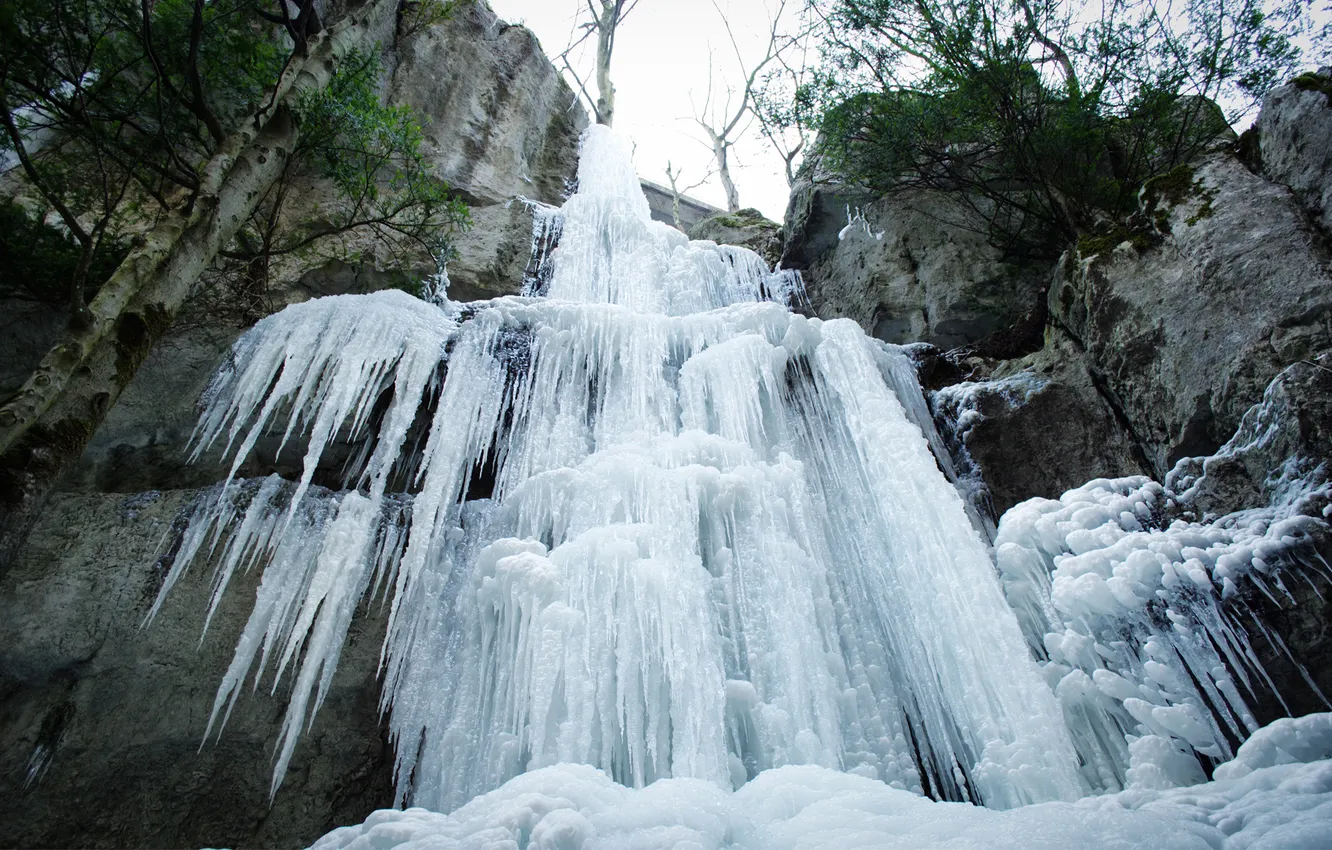 Photo wallpaper cold, greens, trees, rocks, waterfall, icicles, frozen