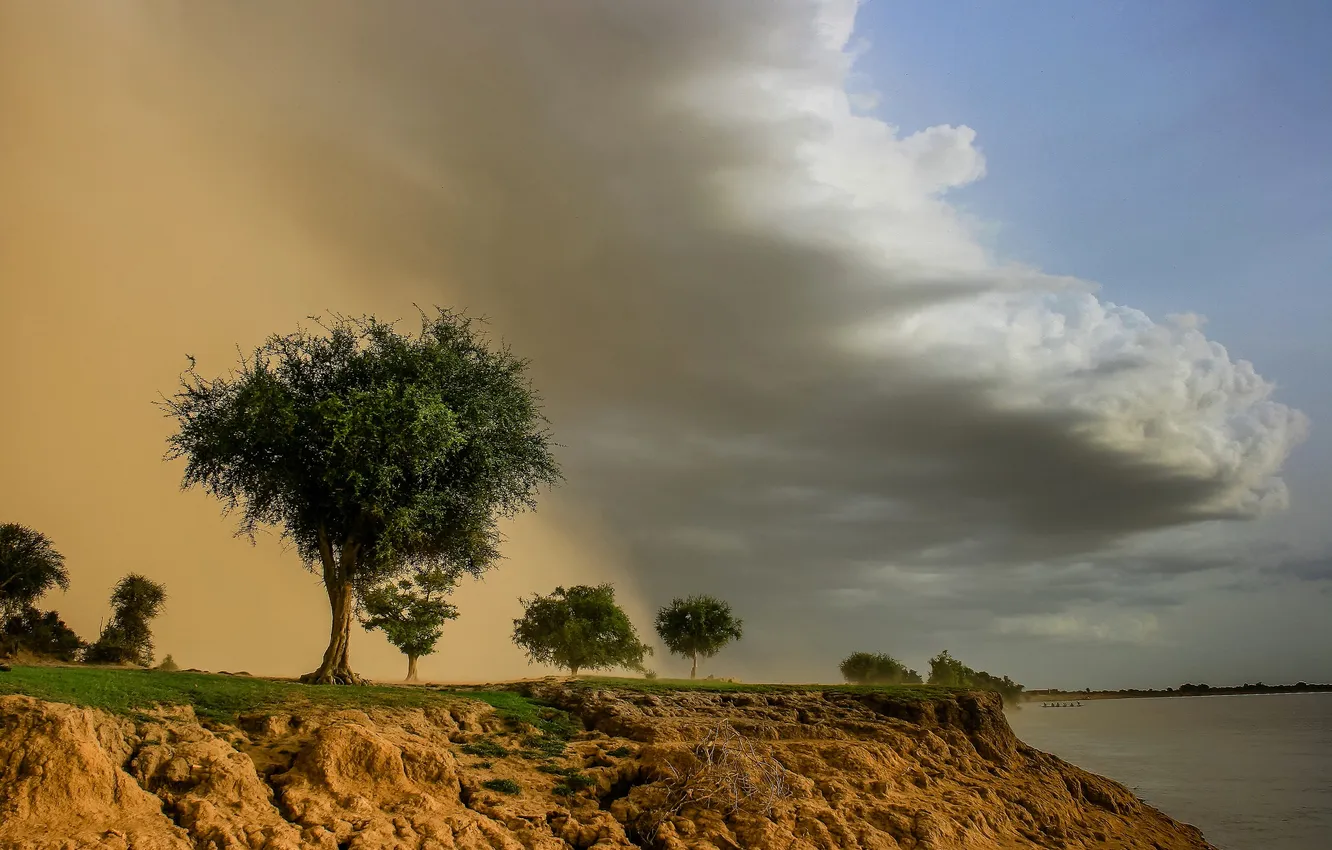 Photo wallpaper the sky, clouds, trees, lake, open