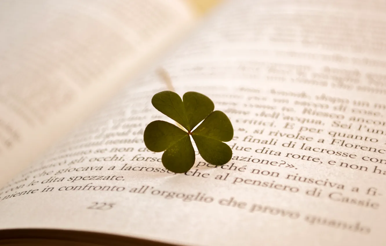 Photo wallpaper text, letters, leaf, book, clover, page
