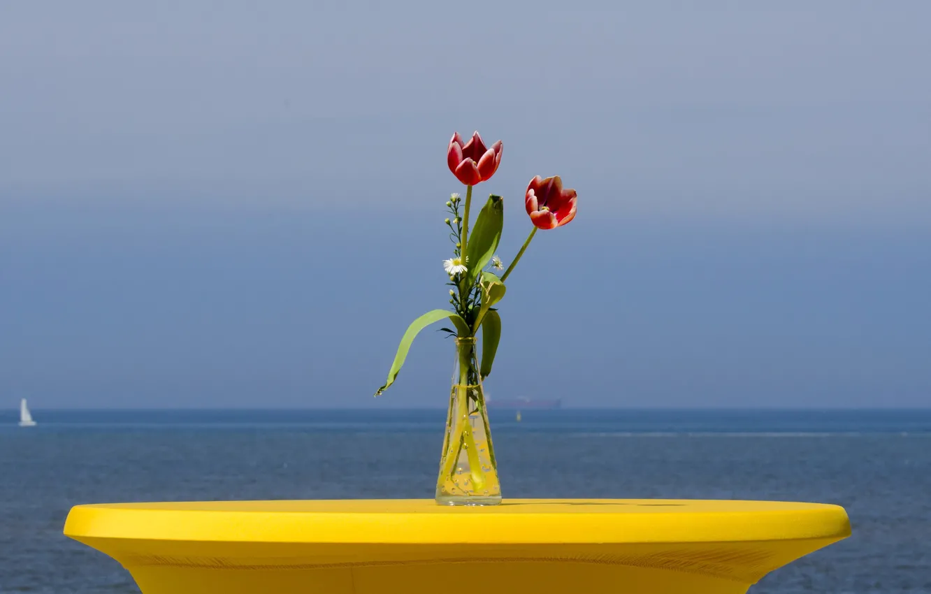 Photo wallpaper sea, flowers, yacht, horizon, tulips, sail, vase