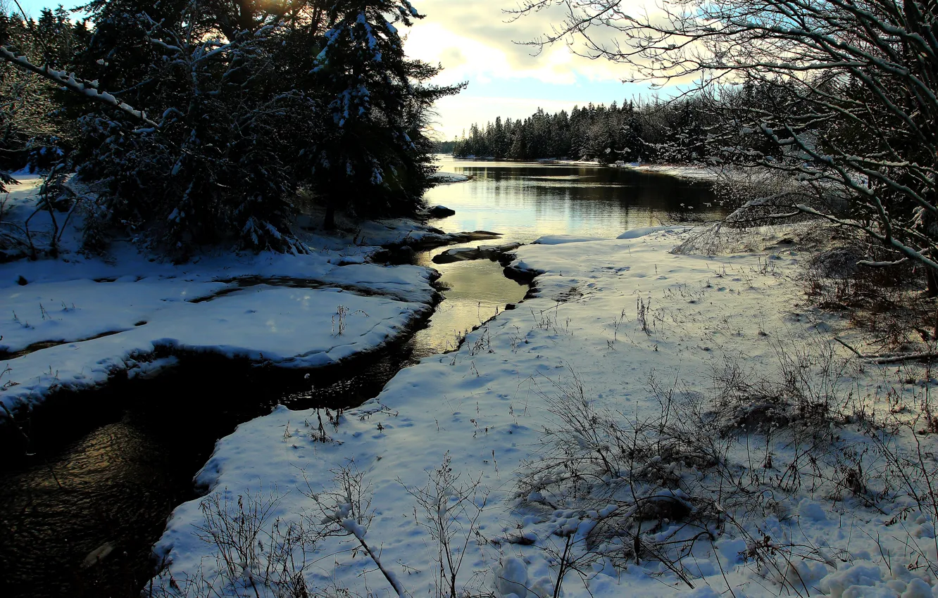 Photo wallpaper winter, snow, river, river, winter, snow, frost